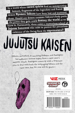 Jujutsu Kaisen: Volume 14 Manga Viz Media