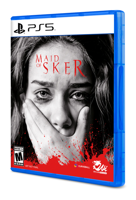 Maid of Sker [PlayStation 5] PlayStation 5 Video Game Curveball