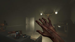 Madison - Possessed Edition [PlayStation 5] PlayStation 5 Video Game Koch Media