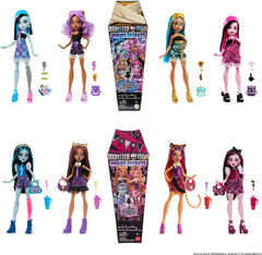 Monster High: Buried Secrets Mystery Doll - 5 Accessories Toys & Games Mattel