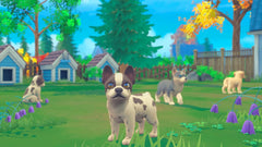 My Universe - Puppies and Kittens [Nintendo Switch] Nintendo Switch Video Game Microids