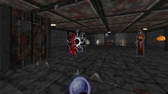 Rise of the Triad: Ludicrous Edition - Limited Run #249 [Nintendo Switch] Nintendo Switch Video Game Limited Run Games