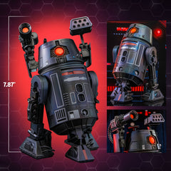 Star Wars: BT-1 Scale Figure Toys & Games Hot Toys