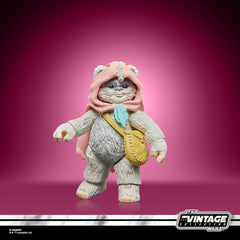 Star Wars Ewoks: Wicket W. Warrick - Kneesaa Toys & Games Hasbro