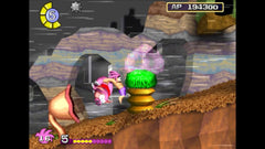 TOMBA! Special Edition Whoopee Edition - Limited Run #245 [Nintendo Switch] Nintendo Switch Collector Limited Run Games