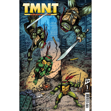 Teenage Mutant Ninja Turtles Journeys: #1 [Kevin Eastman CVR B] 2025 Comics IDW Publishing