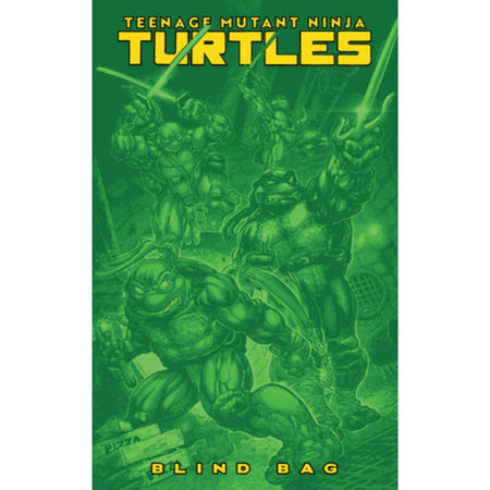 Teenage Mutant Ninja Turtles: #13 [CVR F Blind Bag] 2025 Comics IDW Publishing