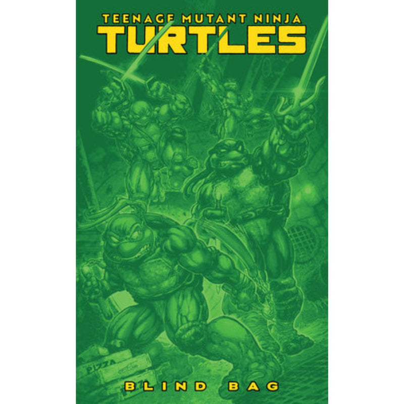 Teenage Mutant Ninja Turtles: #13 [CVR F Mystery Blind Bag] TMNT 2025 Comics IDW Publishing