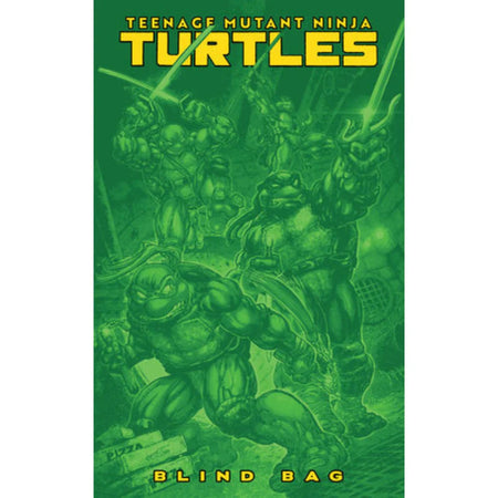 Teenage Mutant Ninja Turtles: #13 [CVR F Comic Book Blind Bag x10] TMNT Bundle Comics IDW Publishing