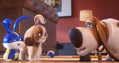 The Secret Life of Pets 2 [Blu-Ray + 4K UHD] Blu-Ray 4K Movie Universal Pictures   
