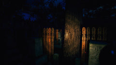 The Sinking Forest [PlayStation 5] PlayStation 5 Video Game Tesura Games