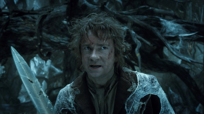 The Hobbit: The Desolation of Smaug [DVD + Digital] DVDs & Blu-Rays Warner Bros.   