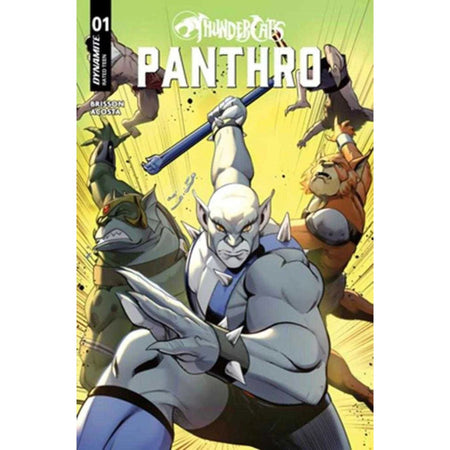 Thundercats Panthro: #1 [Robert Quinn CVR C] 2025 Comics Dynamite Entertainment