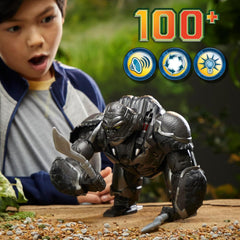 Transformers Rise of the Beasts: Command and Convert Optimus Primal Toys & Games Hasbro