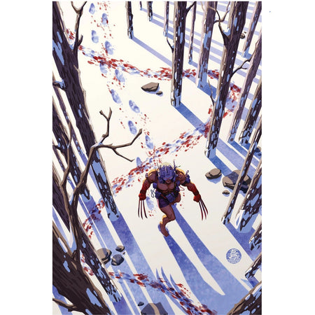 Wolverine: #13 [Mark Brooks Virgin - 1:50] 2024 Comics Marvel Comics