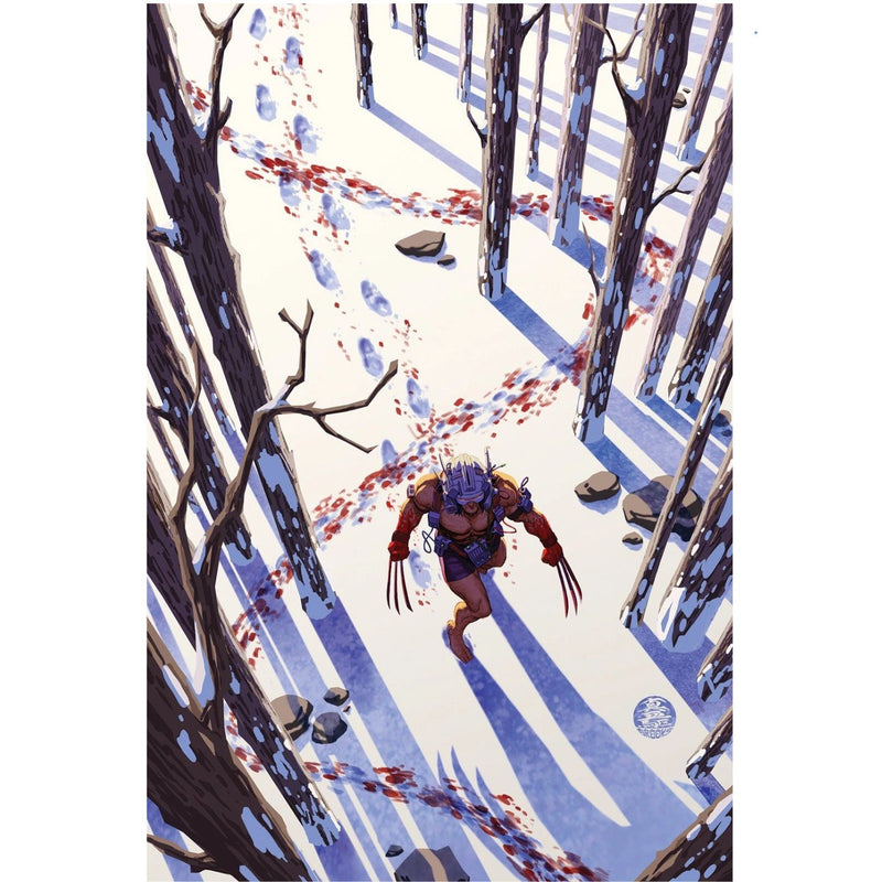 Wolverine: #13 [Mark Brooks Virgin - 1:50] 2024 Comics Marvel Comics