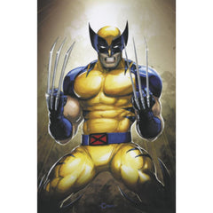 Wolverine: #14 [Clayton Crain Virgin - 1:50] 2024 Comics Marvel Comics