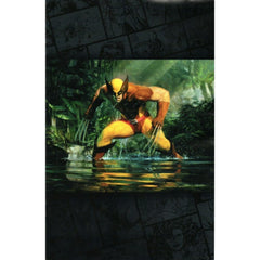 Wolverine: #22 [Ryan Pancoast Classified MTG - 1:50] 2024