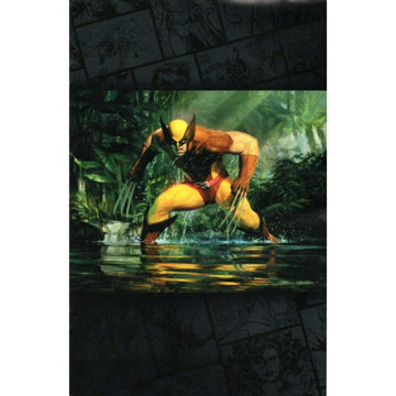 Wolverine: #22 [Ryan Pancoast Classified MTG - 1:50] 2024