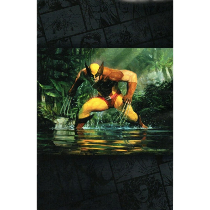 Wolverine: #22 [Ryan Pancoast Classified MTG - 1:50] 2024
