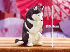 Yell: Gassho Praying Dogs Blind Box - Series 2 Toys & Games Yell Co.