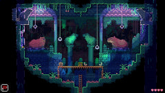 Animal Well [PlayStation 5] PlayStation 5 Video Game Lost in Cult