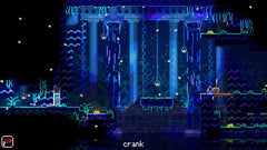Animal Well [PlayStation 5] PlayStation 5 Video Game Lost in Cult
