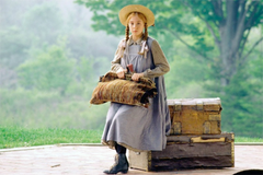 Anne of Green Gables - The Kevin Sullivan Restoration [DVD Box Set] DVDs & Blu-Rays Sullivan   