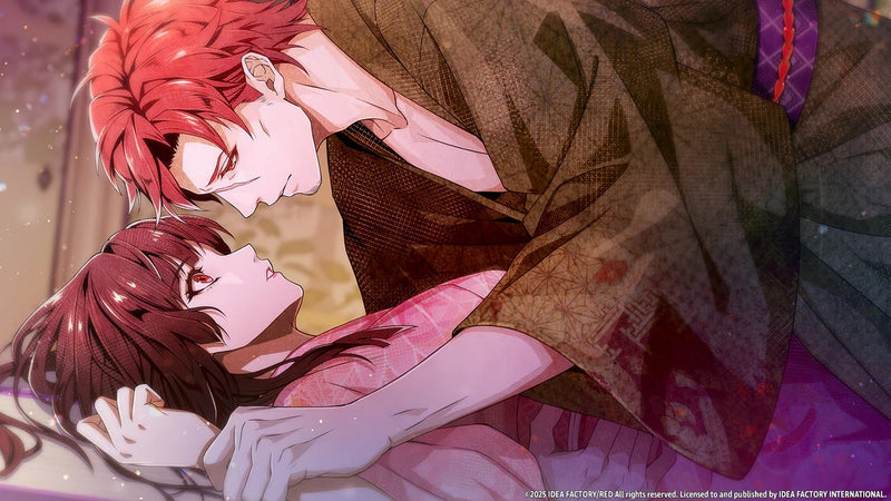 Birushana: Winds of Fate [Nintendo Switch]