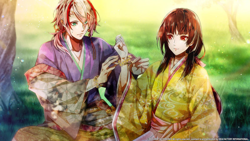 Birushana: Winds of Fate [Nintendo Switch]