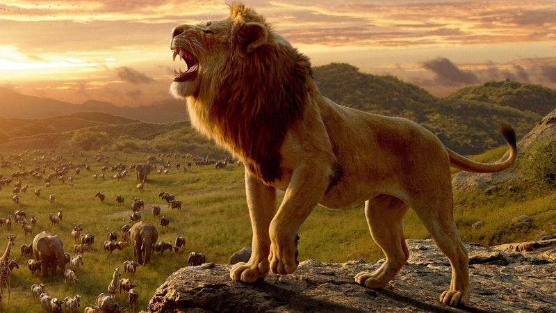 Disney's The Lion King - Live Action [3D + 2D Blu-ray] DVDs & Blu-Rays Disney   