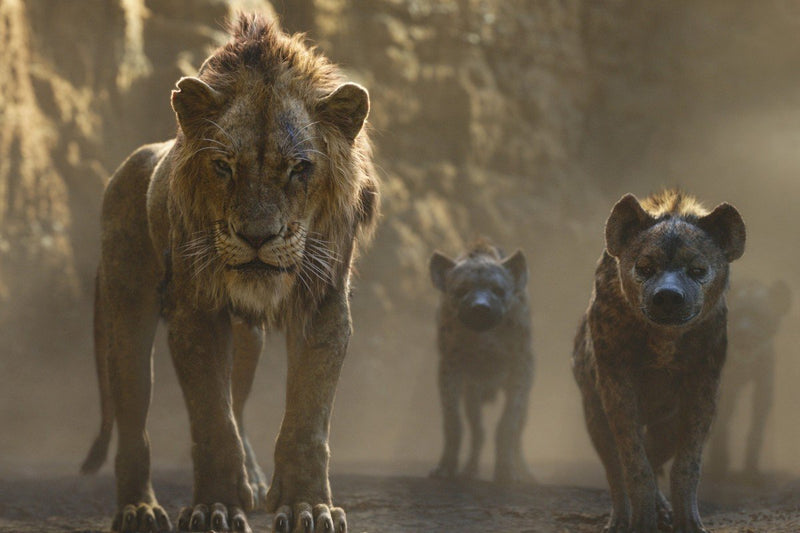 Disney's The Lion King - Live Action [3D + 2D Blu-ray] DVDs & Blu-Rays Disney   