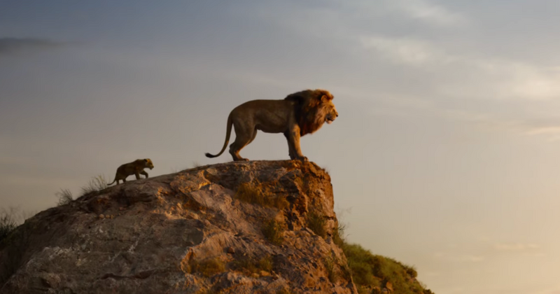 Disney's The Lion King - Live Action [3D + 2D Blu-ray] DVDs & Blu-Rays Disney   