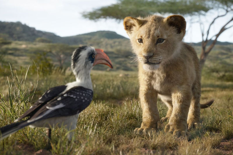 Disney's The Lion King - Live Action [3D + 2D Blu-ray] DVDs & Blu-Rays Disney   