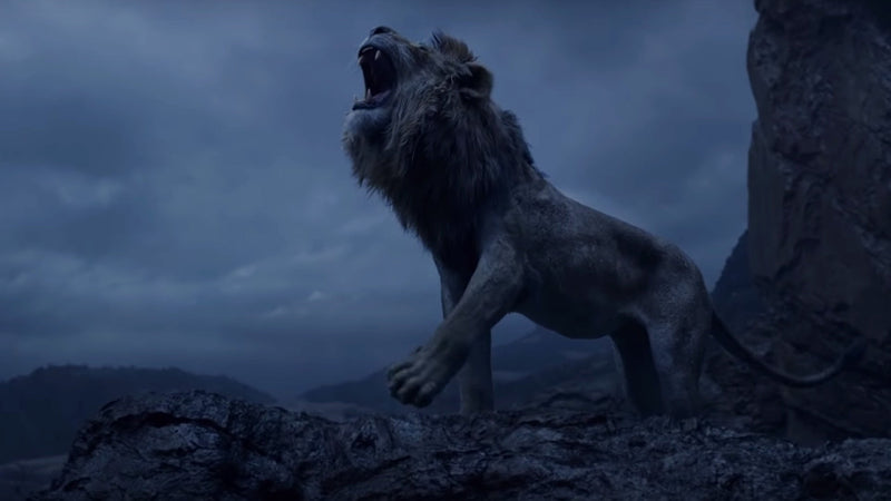 Disney's The Lion King - Live Action [3D + 2D Blu-ray] DVDs & Blu-Rays Disney   
