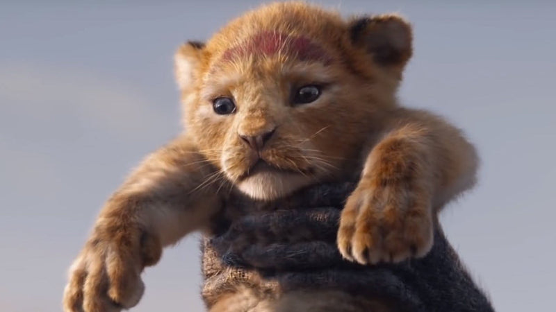 Disney's The Lion King - Live Action [3D + 2D Blu-ray] DVDs & Blu-Rays Disney   