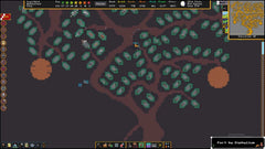 Dwarf Fortress - 20th Anniversary Archival Collector's Edition [PC] Video Games PM Studios