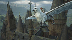Hogwarts Legacy [Nintendo Switch 2] Nintendo Switch 2 Video Game WB Games