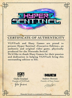 Hyper Sentinel [Nintendo Switch] Nintendo Switch Video Game VGNYsoft   