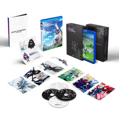 Infinite Dendrogram - The Complete Series Limited Edition [Blu-Ray Box Set + DVD + Digital] DVDs & Blu-Rays Funimation   