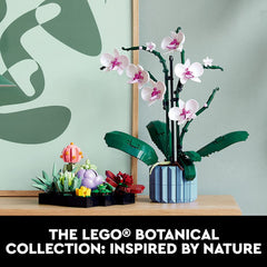 LEGO Botanical Collection: Succulents - 771 Piece Building Kit [LEGO, #10309] LEGO LEGO   