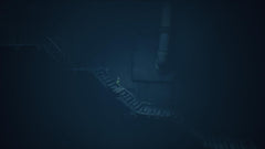 Little Nightmares III [Nintendo Switch 2] Nintendo Switch 2 Video Game Bandai Namco