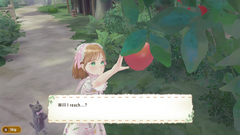 Magical Craft - My Enchanted Dress Shop [Nintendo Switch]