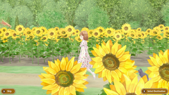 Magical Craft - My Enchanted Dress Shop [Nintendo Switch]
