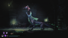 Mandragora: Whispers of the Witch Tree - Standard Edition [Xbox Series X] Xbox Series X Hardware Knights Peak