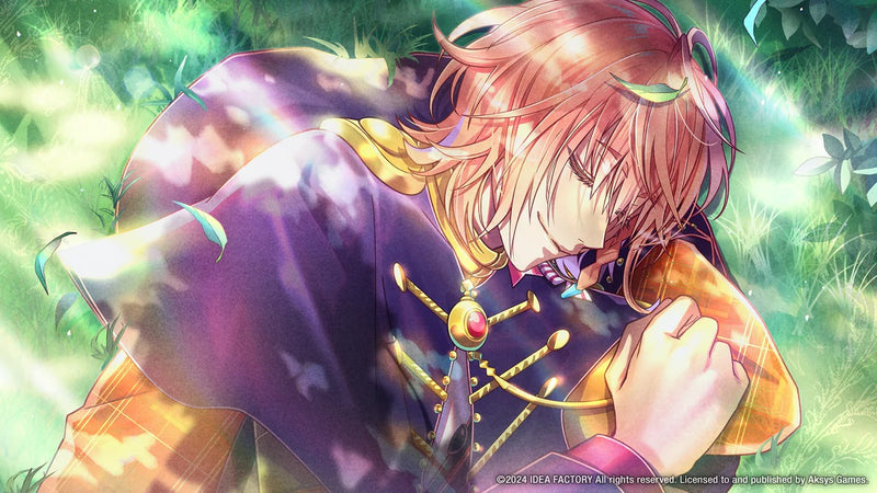 Mistonia's Hope: The Lost Delight [Nintendo Switch] Nintendo Switch Video Game Aksys Games