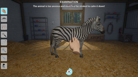 My Vet Practice In The Zoo [Nintendo Switch] Nintendo Switch Video Game GS2 Games