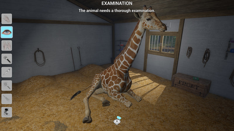 My Vet Practice In The Zoo [PlayStation 5] PlayStation 5 Video Game GS2 Games