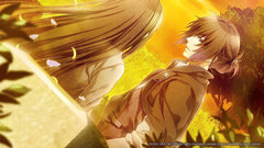 Norn9: Last Era - Limited Edition [Nintendo Switch] Nintendo Switch Video Game Aksys Games   