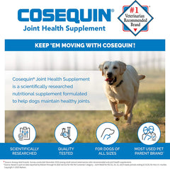 Nutramax Cosequin DS Maximum Strength Plus MSM Joint Health Supplement for Dogs - 180-Count [Pet Care] House & Home Nutramax   